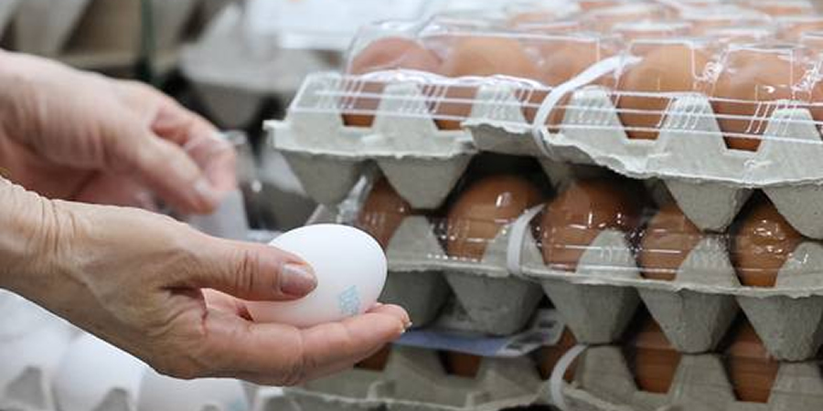 eFeedLink tweet media