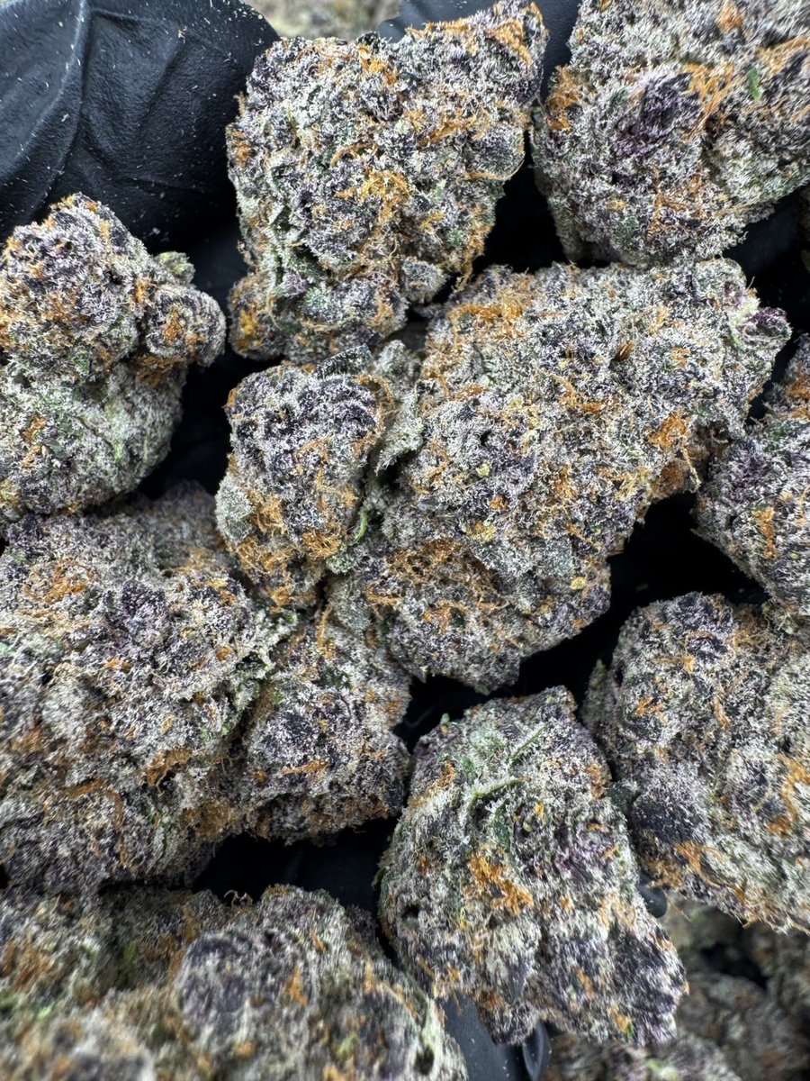 LaikaGrower's tweet photo. 🍒 SUPER BOOF CHERRY – Hybrid 🔥
⚙️Indica 60%
🛠️Sativa 40%

100G / 2,290฿

หอมหวานเชอร์รี่ ควันแน่น ฟีลแน่นลอยยาว 💨
👉 https://t.co/8QkpByxhzH
#กัญชากรุงเทพ #กัญชาเชียงใหม่ #กัญชาชลบุรี #กัญชาภูเก็ต #weedTH https://t.co/2umITdhdQT