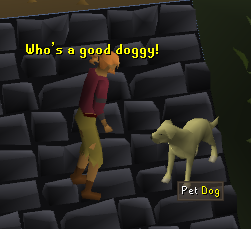 Dog has been petted