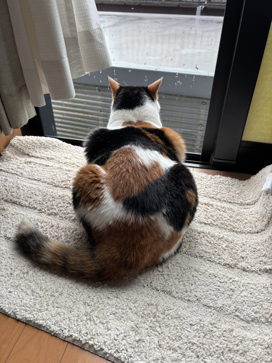 Miei T様♡ありがとうございます♡ ♡ 貴方の10.10を胡桃にいただきたいです. 逢いたいです. 逢え