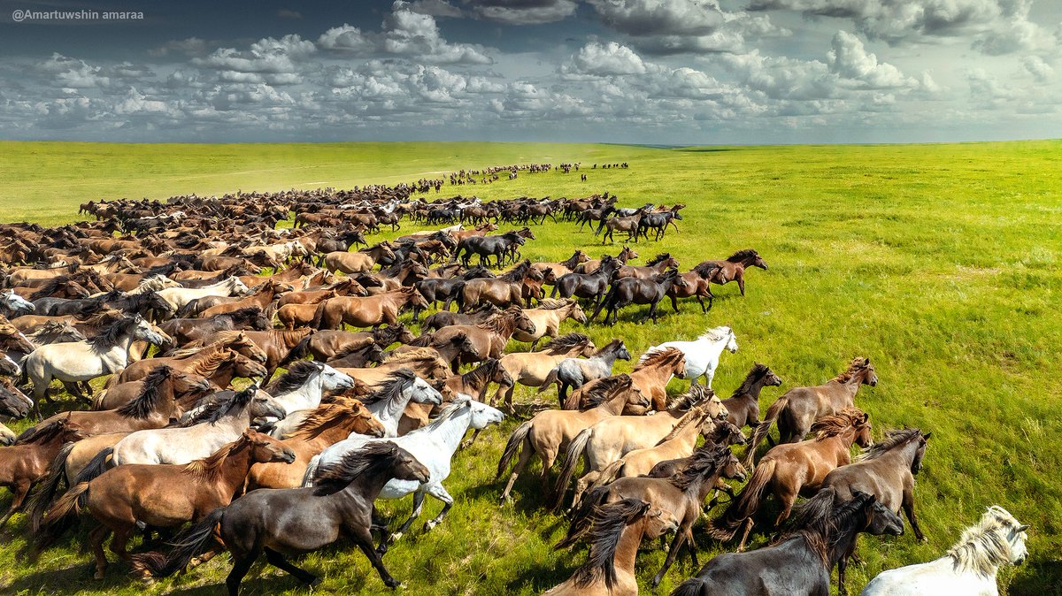 Омогшил мөн биз дээ