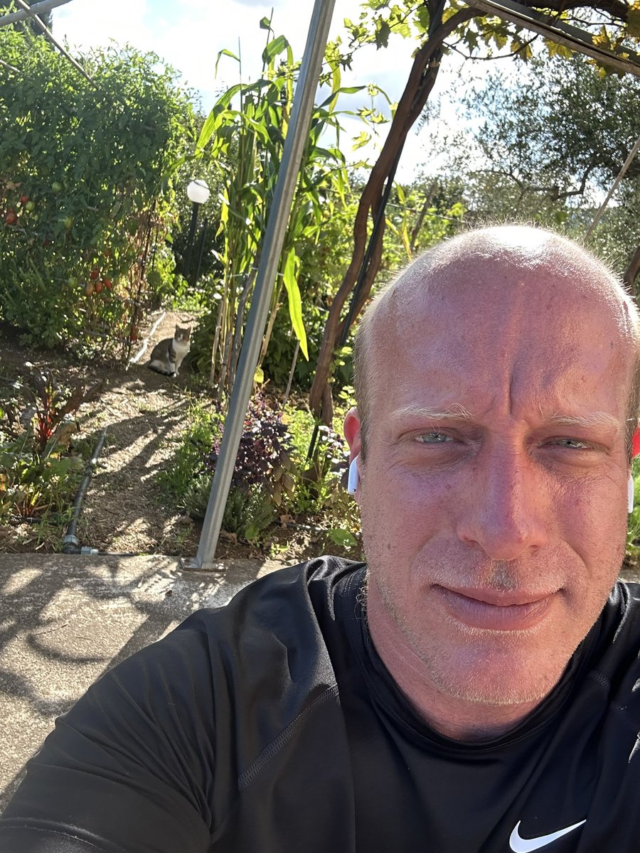 FrankTheTank tweet media