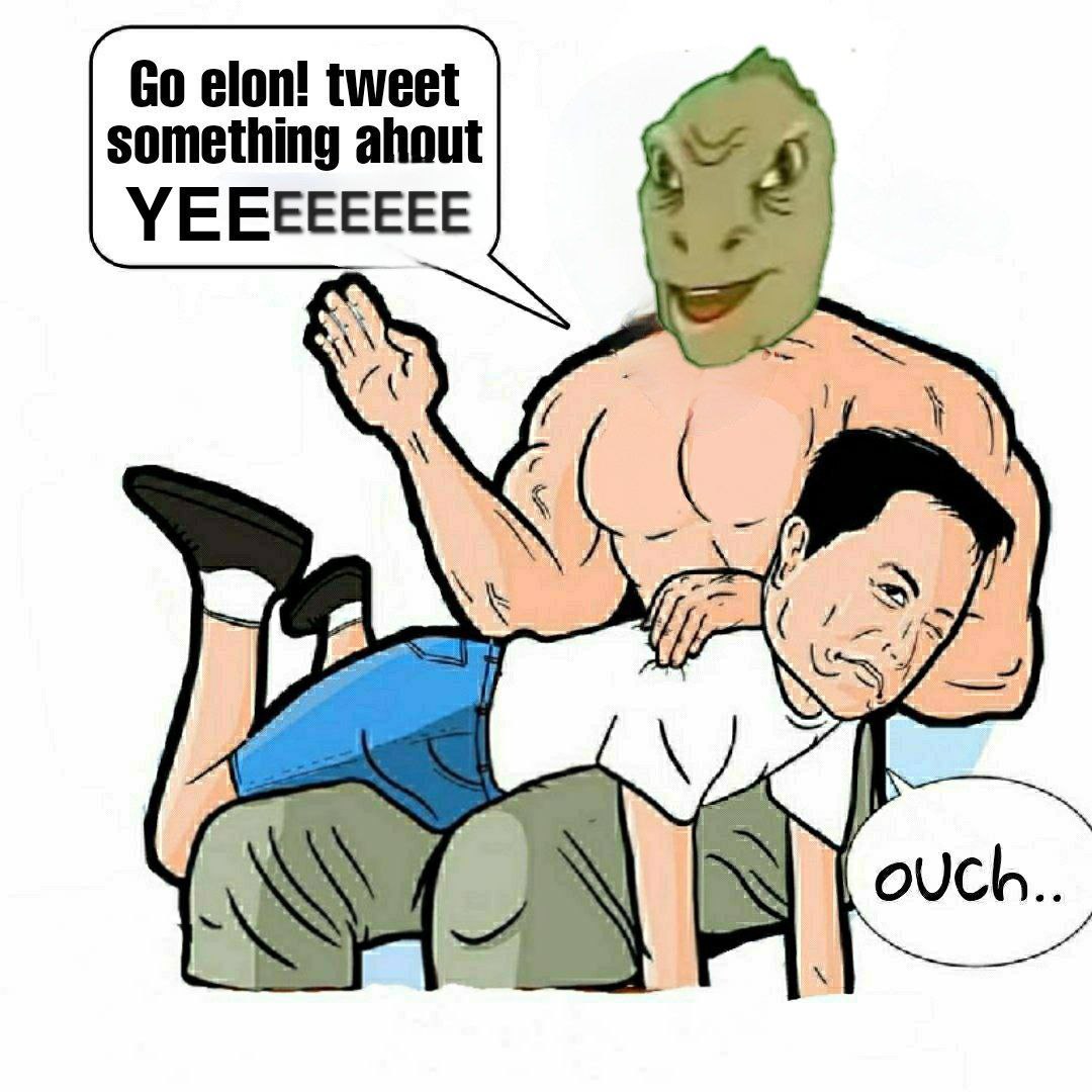 YeeErc20's tweet photo. Go @elonmusk 

YEEEEEEEEEEEEEEEEEEEE https://t.co/ishh86LHCo