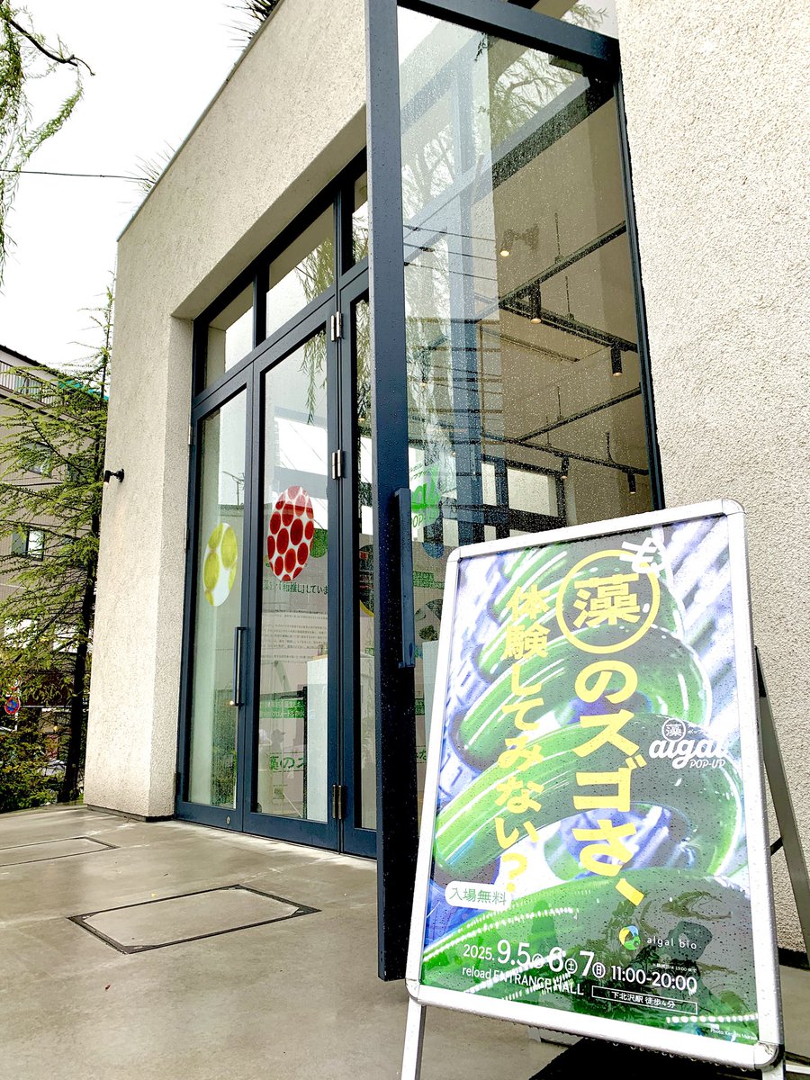 algalbio's tweet photo. 【本日より開催中！】
見て・触れて・感じる、微細藻類の魅力を体感できるポップアップ展示イベント“algal POP-UP（アルガル ポップアップ）”が本日より下北沢reloadで開催スタートしました！

初めて公開する「藻(も)」にまつわる魅力が盛りだくさん。多くの方々のご来場をお待ちしております♪ https://t.co/5VHgZP89GQ