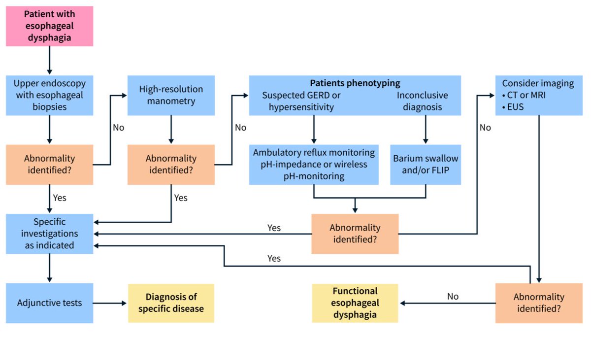 sepdigestiva's tweet photo. Manejo de la disfagia esofágica y orofaríngea: 🆕 Guía de la @my_ueg  y @esnm_eu: una guía imprescindible 📌🌟🔢

1️⃣ Causas
2️⃣ Evaluación
3️⃣ Manejo de la disfagia esofágica
4️⃣ Manejo de la disfagia orofaríngea

📸:@UEGJournal

https://t.co/Be0aGtLCx6

RT @drkeithsiau https://t.co/llXjY988XE