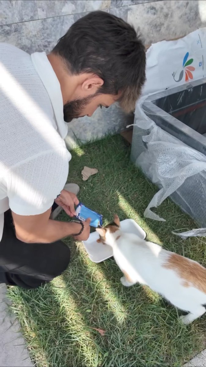 Ah canım benim senin o güzel merhamet li kalbini severim ben.  İki minnoş 🧿🧿🧿 
#BatuhanKaracakaya 
#SokakHayvanlarıSahipsizDeğil 
#sokakhayvanlarıcandır