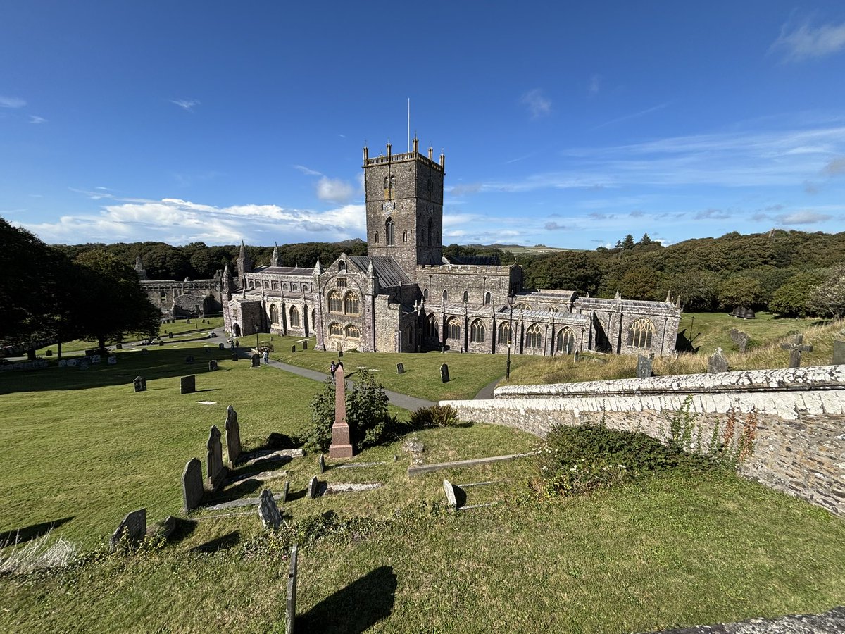 Prof Vince Bissell tweet media