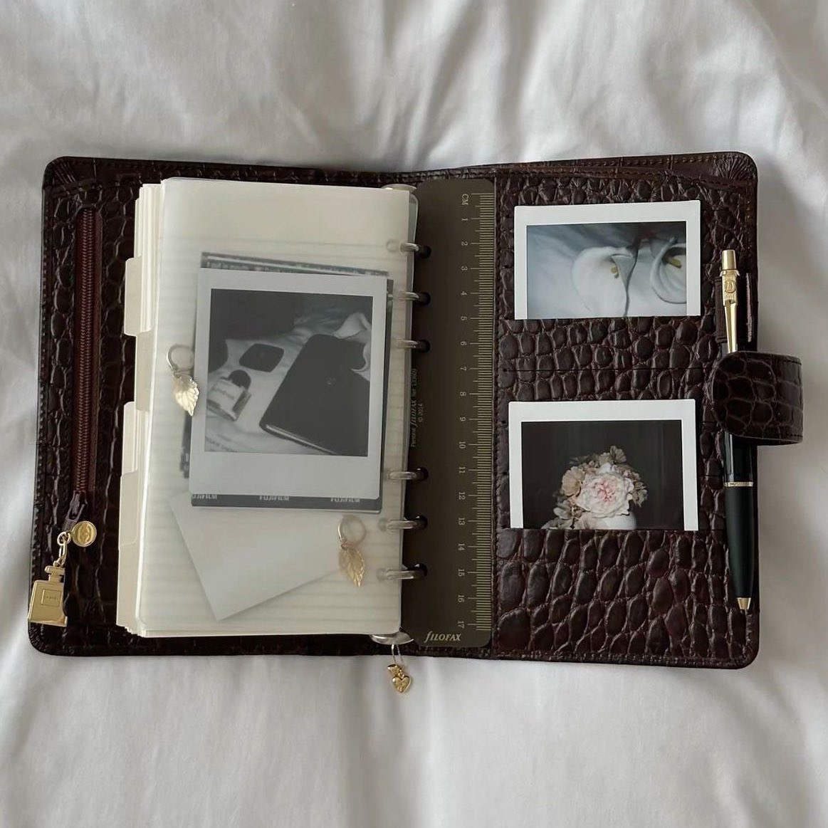 thatumblrgal's tweet image. friday 🍂