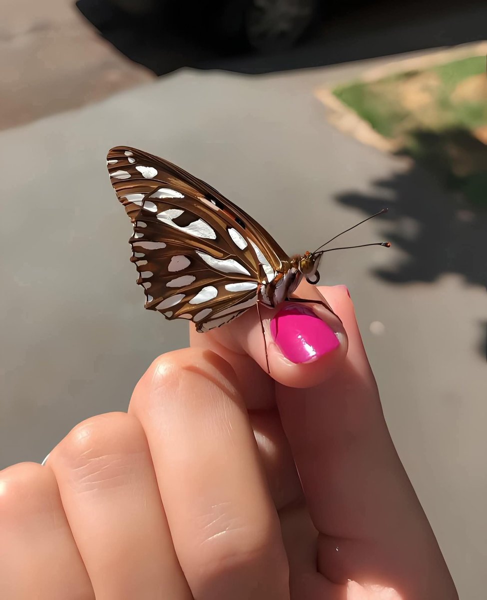 مخلص ہونا دنیا کا سب سے پرکشش جذبہ ہے
حتی کہ محبت سے بھی زیادہ پرکشش

#قومی_زبان