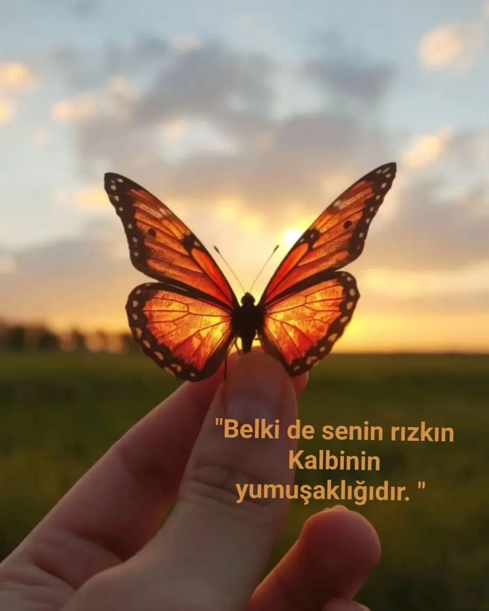 SelmaGkds's tweet photo. https://t.co/5wefCXw79D