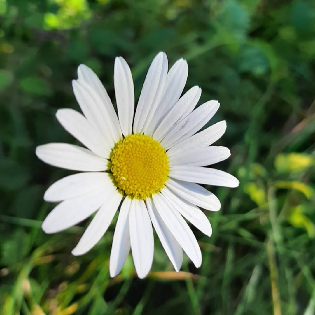 <a href="/Gez56/">Gez 〓〓</a> thanks and i wish you Happy Friday Gez💮🌸