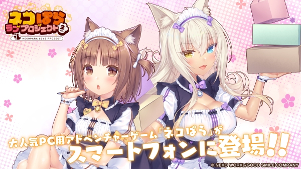 ネコぱら セカイコネクト公式 tweet media