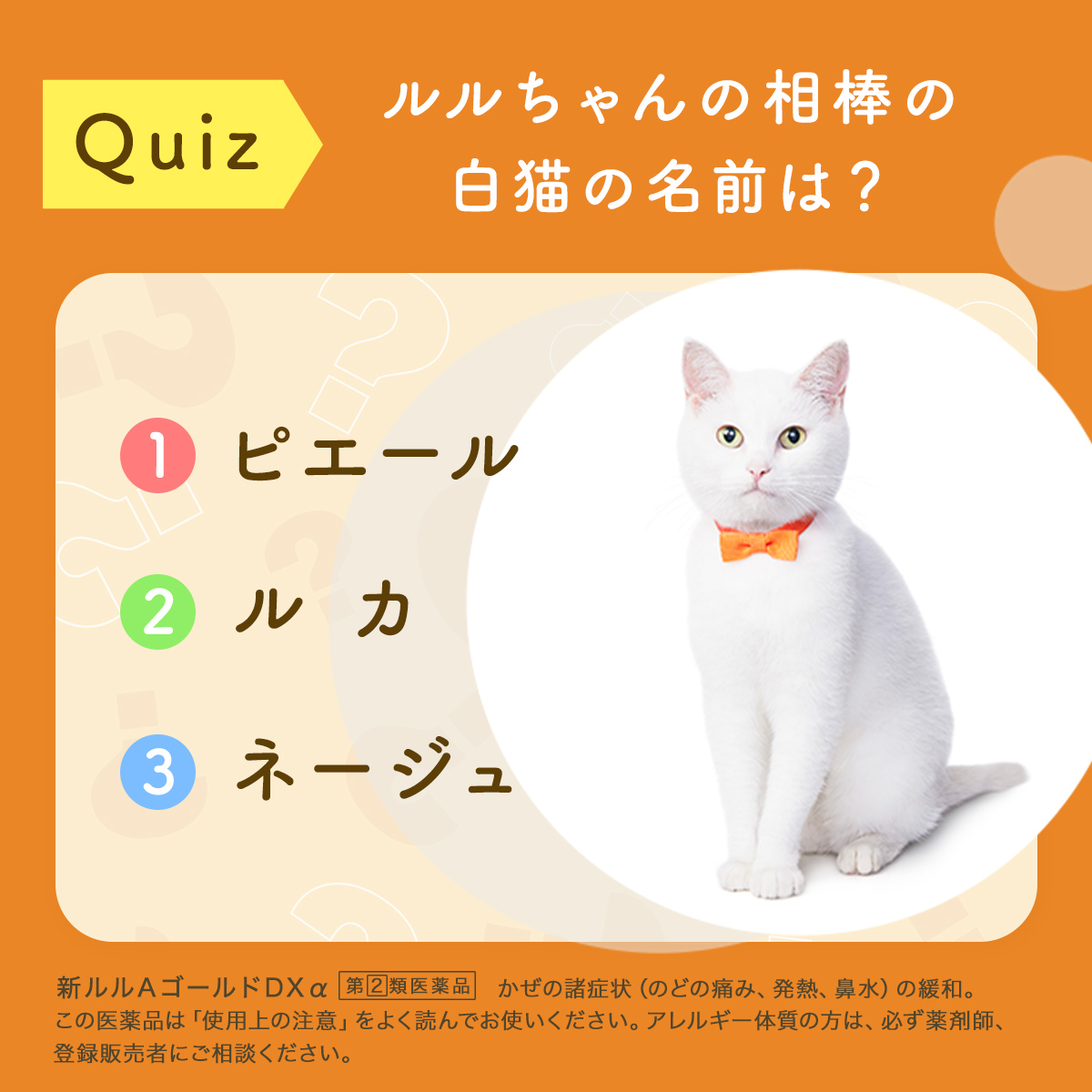 ルル公式 (@lulu_dshc) / Posts / X