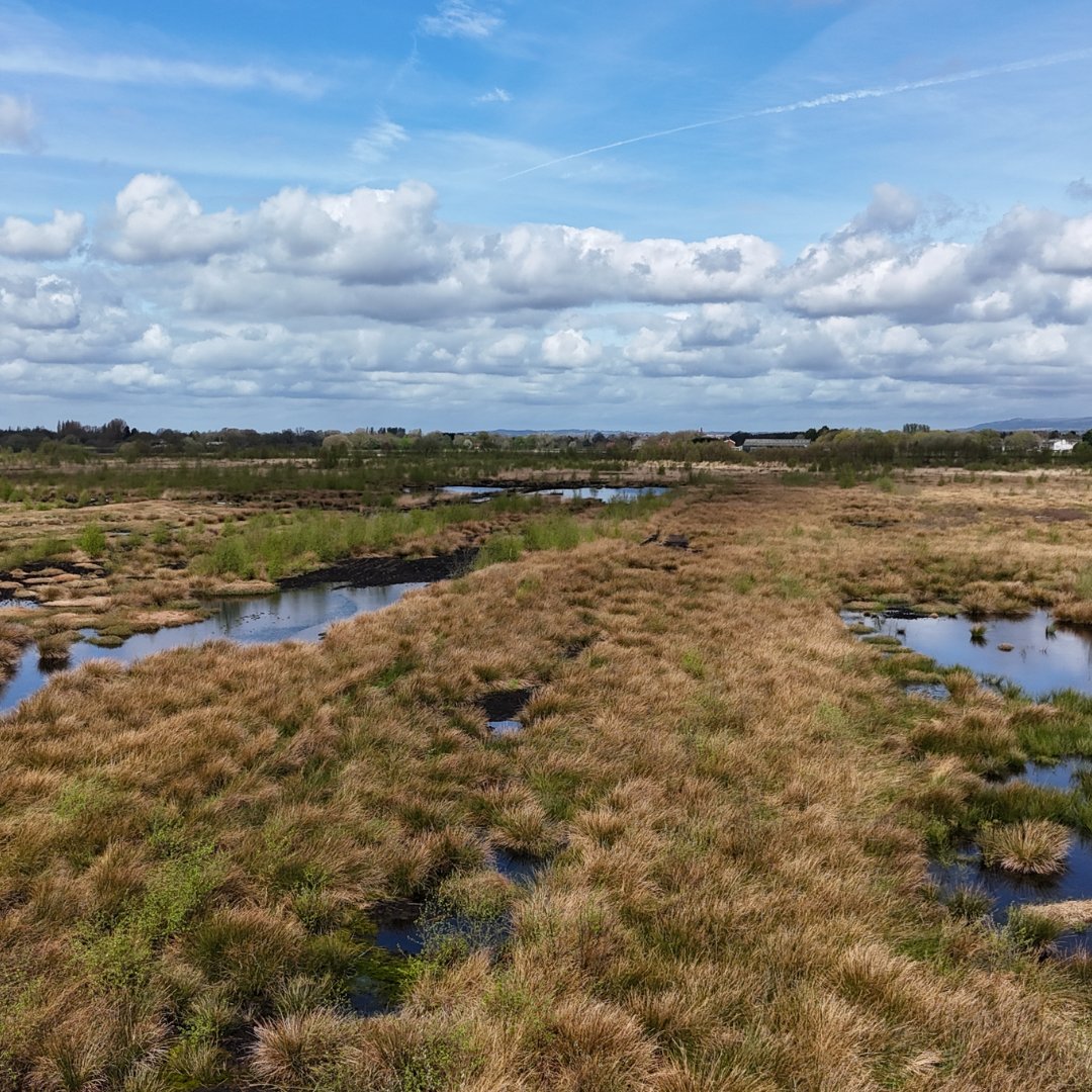 96% of our peatlands lost. Three species vanished. 

Now, their comeback is within reach. 

Be part of the recovery: ow.ly/5WkF50WNuZn

(📸 Jamie Lawson)