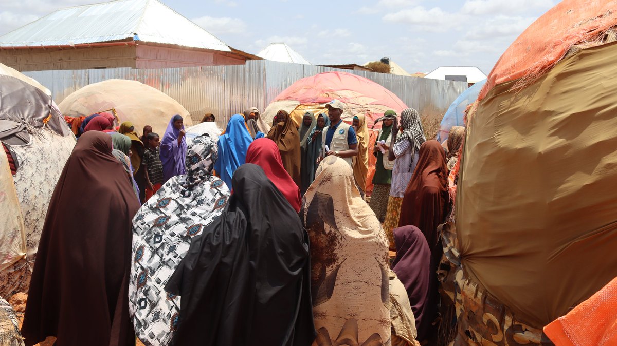 kalkalhuman's tweet photo. @Kalkalhuman is pleased to have conducted an Awareness Campaign on Accountability and Zero Tolerance for SEA, empowering communities to report and prevent violations. Together, we stand for dignity and protection.
#ZeroTolerance #Accountability #SEA #HumanRights #KAHRDO https://t.co/rDL9M2eoWP
