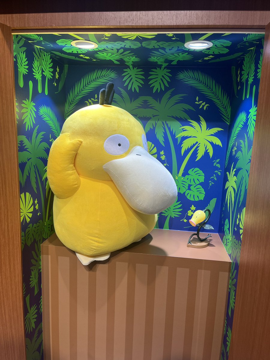 asu2142's tweet photo. かわちいです〜🩷💜
ポケモンもいた！ https://t.co/6vF3uU5dX7