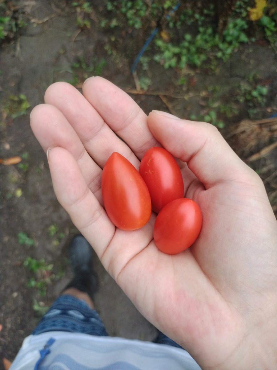 味が濃くておいし〜😭
