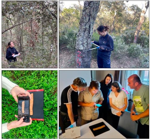 Imforest_PFNM's tweet image. En Vallgorguina organizamos un #LivingLab de #corcho con productores, gestores e investigadores. @INIA_es y @diba ensayaron claras en 9 parcelas de 1.200 m². Innovación, sostenibilidad y bioeconomía. imforest.es/2025/08/07/cor… #NextGeneration #ProyectosPRTR #PFNM