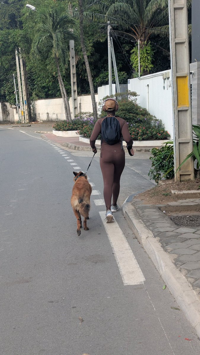 Alpa3628's tweet photo. Mon épouse fait de la marche sportive, 5km/jrs, elle recevait des réflexions sifflets.Hier elle a reçu une menace un gars lui dit: " la prochaine fois je vais appuyer tes seins ".
Aujourd'hui avec notre berger malinois tout a changé... La violence comprend la violence ... https://t.co/rK9knQsL9m