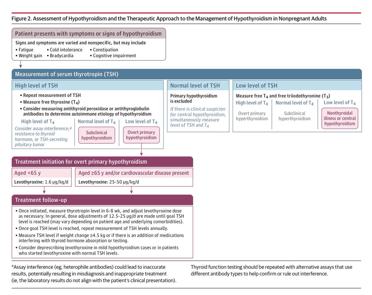 🧠💔 Hypothyroidism – JAMA 2025 Review
•Prevalence: 0.3–12% (↑ women, elderly)
•Hashimoto thyroiditis → cause in up to 85%
•Symptoms: fatigue, wt gain, brain fog, cold intolerance, menstrual issues
•Untreated → ↑ CV events, infertility, miscarriage, insulin resistance