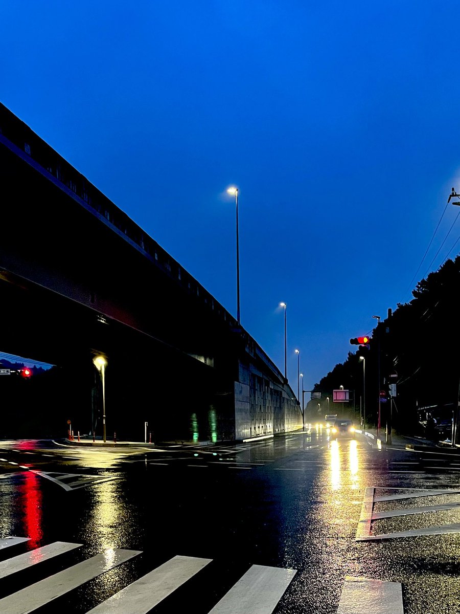 "Journey's Log"

自分を解き放ち､新世界を走る。

雨の今朝も､その感覚を確かめながら走っていたら､どこまでも行けそうな気がした。

自分の旅の地図が､少しずつ広がっていくのを感じる。

旅はいいですね。

目的地は､いつだって自分の中にあるのですから｡

#朝ラン #旅ラン #旅行 #観光学