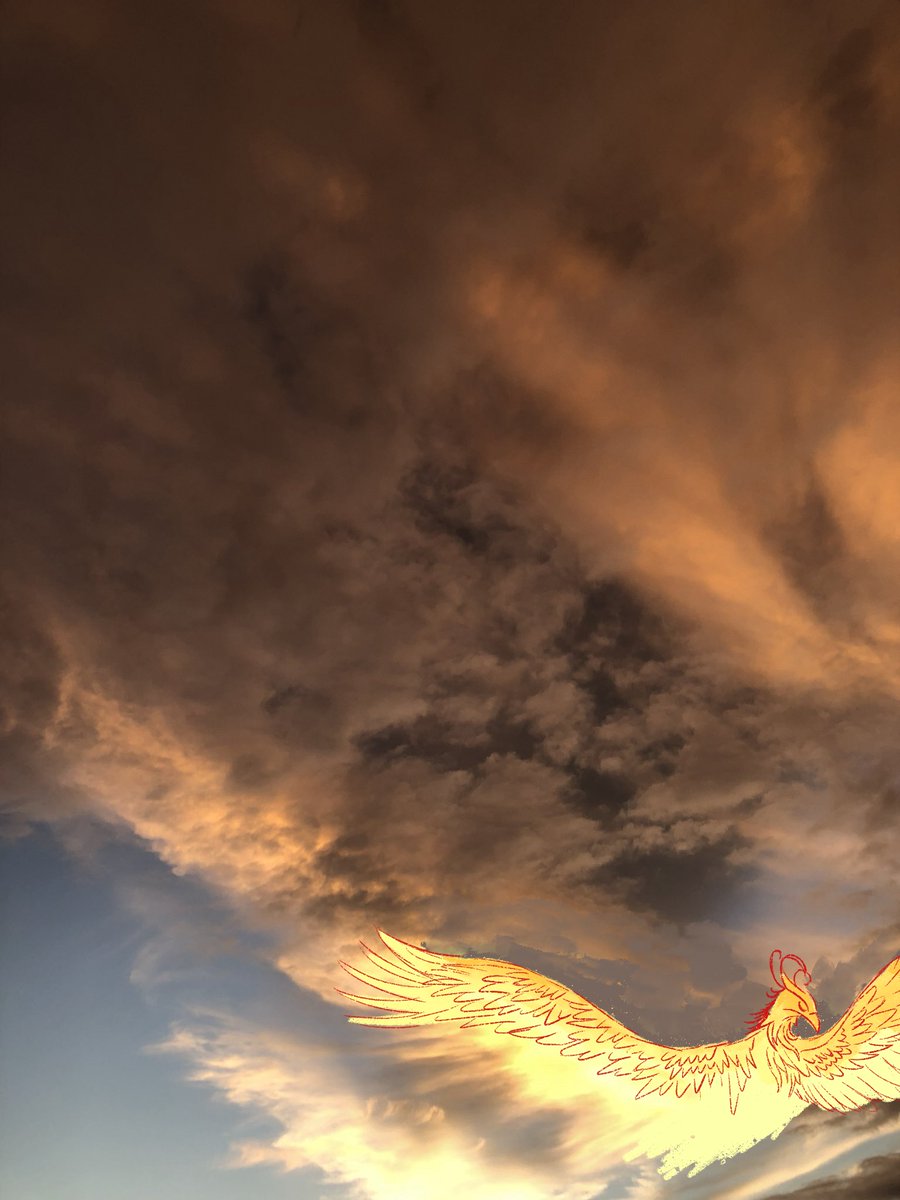 looks like a phoenix in the sky