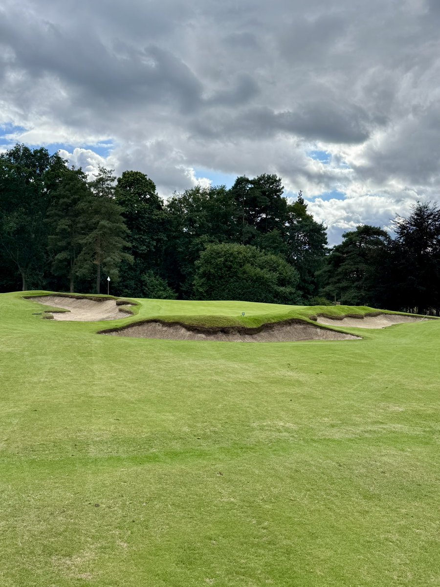 Elevation_Golfing_Nation tweet media