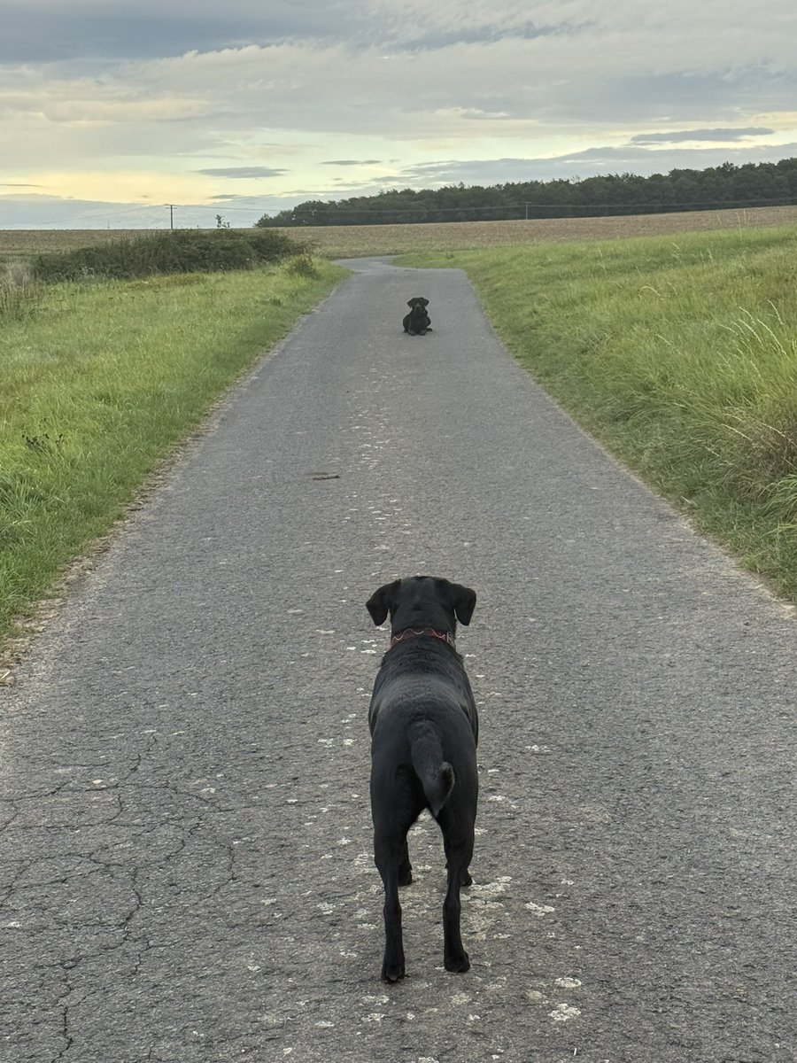 Die Italowestern der 1960er waren nicht schlecht.
Aber die Duelle der Neuzeit dauern ewig bis sich einer bewegt…
Clint Eastwood, Franco Nero und Sergio Leone hätten viel lernen können