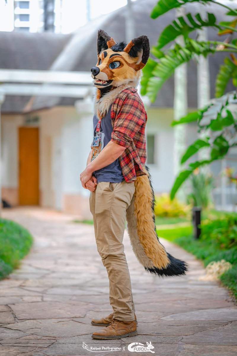Missing furdu....
📸: <a href="/KaisunDerg/">Kaisun (Sean)</a> 
🌵🌵🌵🌵🌵🌵 hehehehe
#FursuitFriday