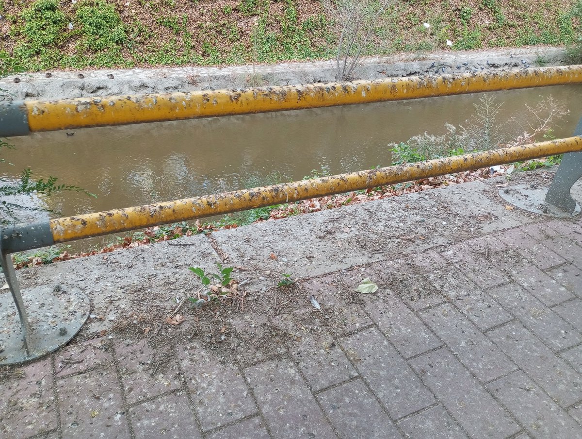 Valladolid Sin Soterrar 💜🤍🚂 tweet media