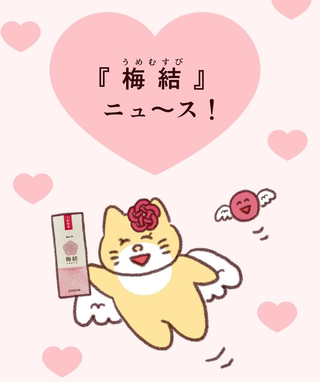 こっこ (@cocco3673) / X
