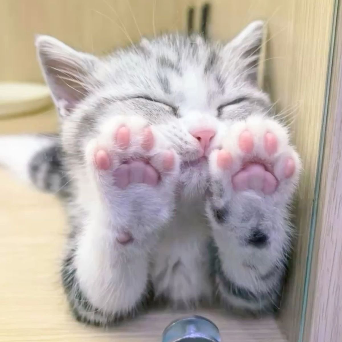 그니까 똑같잖아