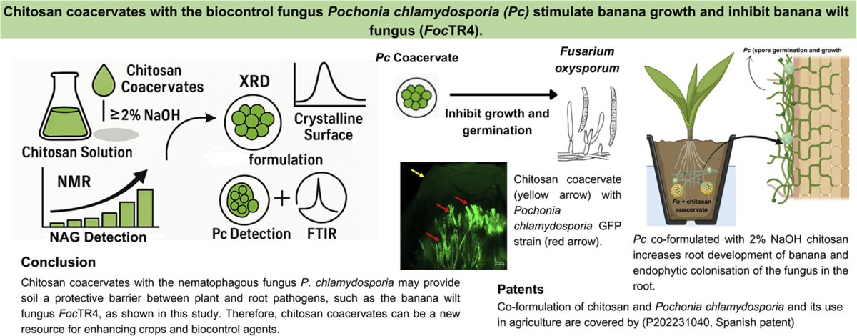 Federico Lopez-Moya tweet media