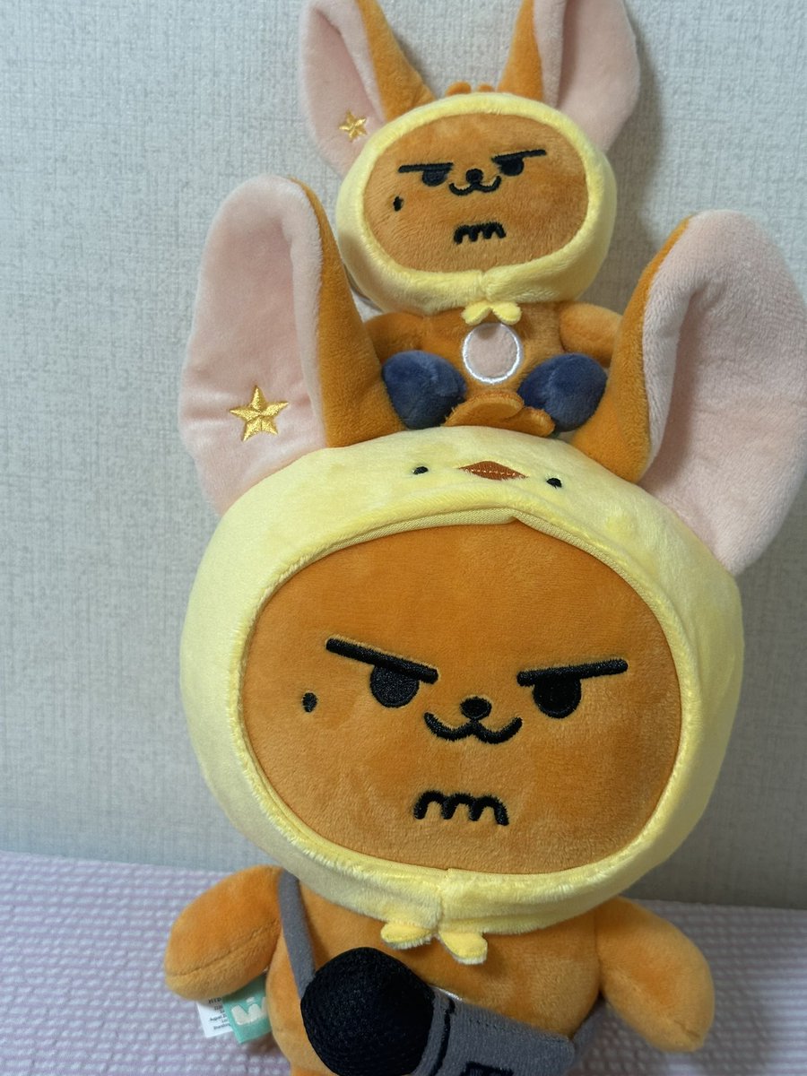 살지말지 고민도 안했지만
사길 너무 잘했다. 진짜 너무 귀여워 진짜 안았 을 때 행복한 인형의 촉감 황춘이 보니까 나머지 네명도 다 데려와야겠어,,,