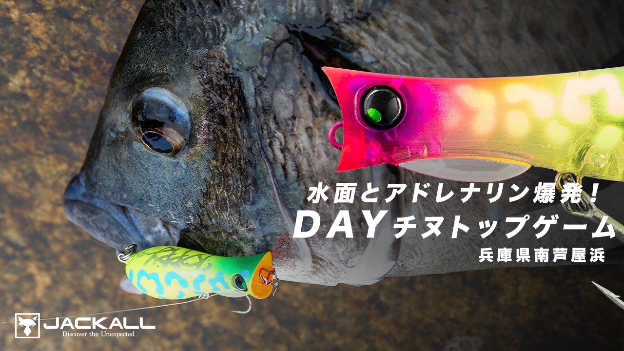 JACKALL - クラッシュゴースト DUNKLE - JACKALL OVERSEA GLOBAL Fishing Lures, Baits and Rods