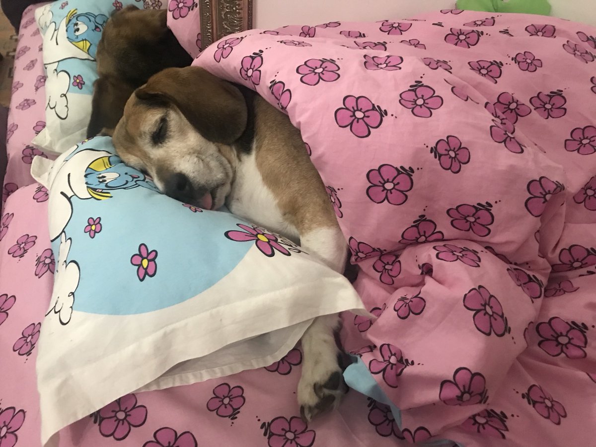 Herkülcan feat Gösde tweet media