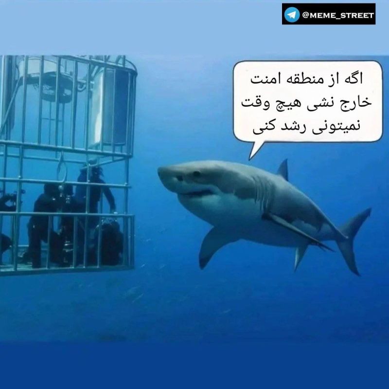 ویکیتجربه (قبل از استخدام، تجربه دیگران بخون) tweet media