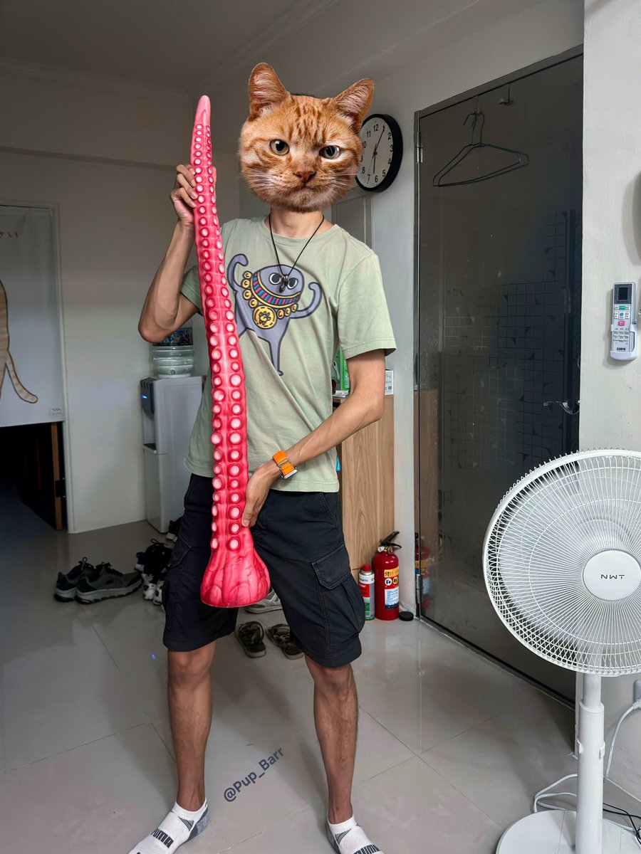 Pup_Barr's tweet photo. 又到週五要放假了
大家對章魚觸手也太有興趣了吧
- 
@Nothosaur101 | 光 XL 106cm
之前有拍過L的 是55.5cm
-
Fill it up Friday,
'til your body melts and quakes https://t.co/ytC4CHi1ph