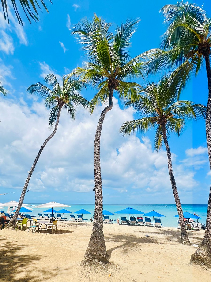 Barbados is home to pristine white sands and clear turquoise waters, boasts a rich culture, and enjoys plenty of sunshine. <a href="/jaredincpt/">Jared inCPT</a> adds even more reasons to visit this gem of the Caribbean Sea. buff.ly/cXAD6DA