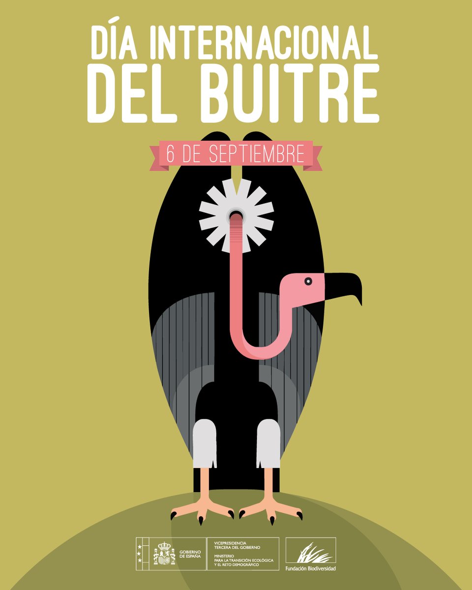 💚 Los #buitres son aliados invisibles de la naturaleza.

Eliminan carroña y residuos orgánicos 🦴 evitando la propagación de enfermedades y manteniendo los ecosistemas saludables.

#DíaInternacionalDeLosBuitres #DíaDeLosBuitres