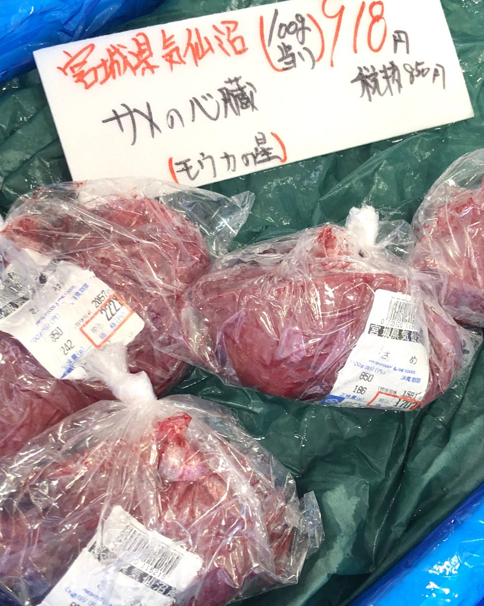 ♯Jwi18GZサメフライシークレット入全6種 ♯Jwi18GZサメフライシークレット入全6種 | フィギュアマニア