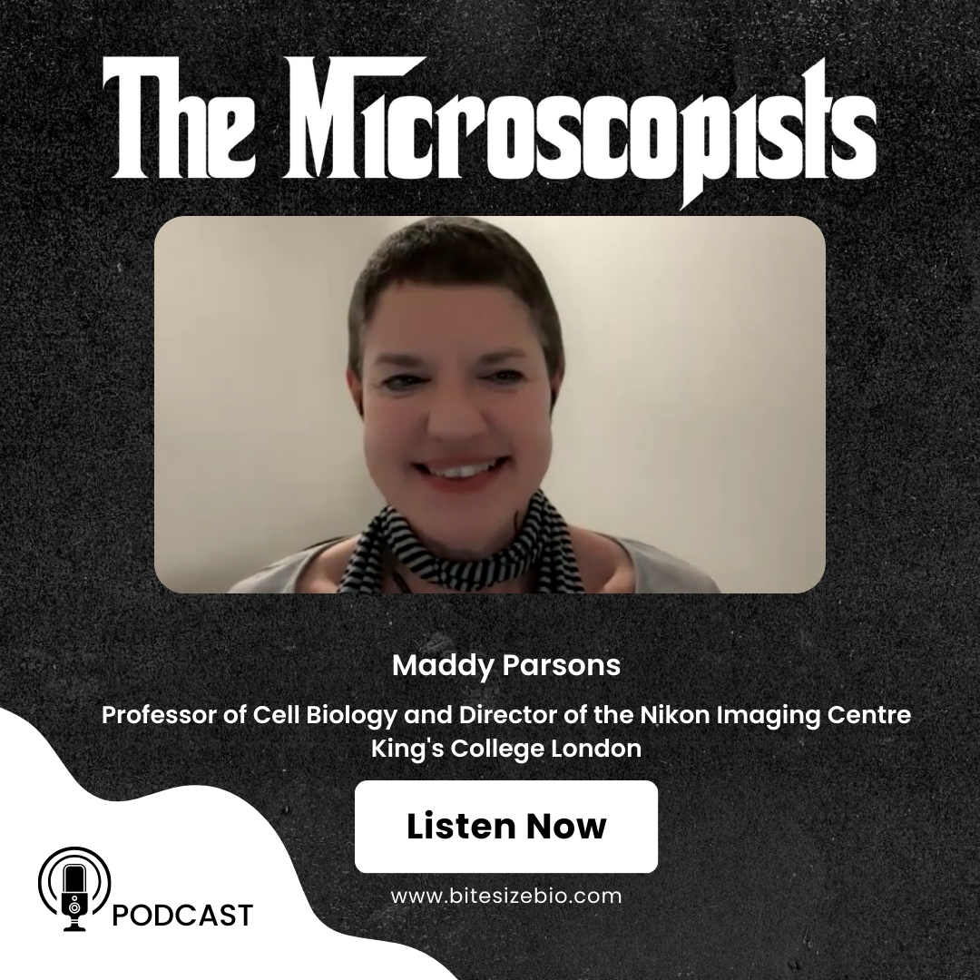 Peter O'Toole tweet media