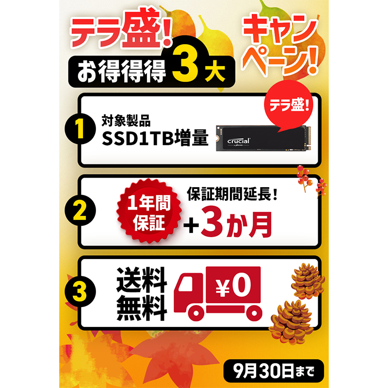 テラ盛！ お得得得3大キャンペーン！ ①対象製品SSD1TB増量！ 通常1TB