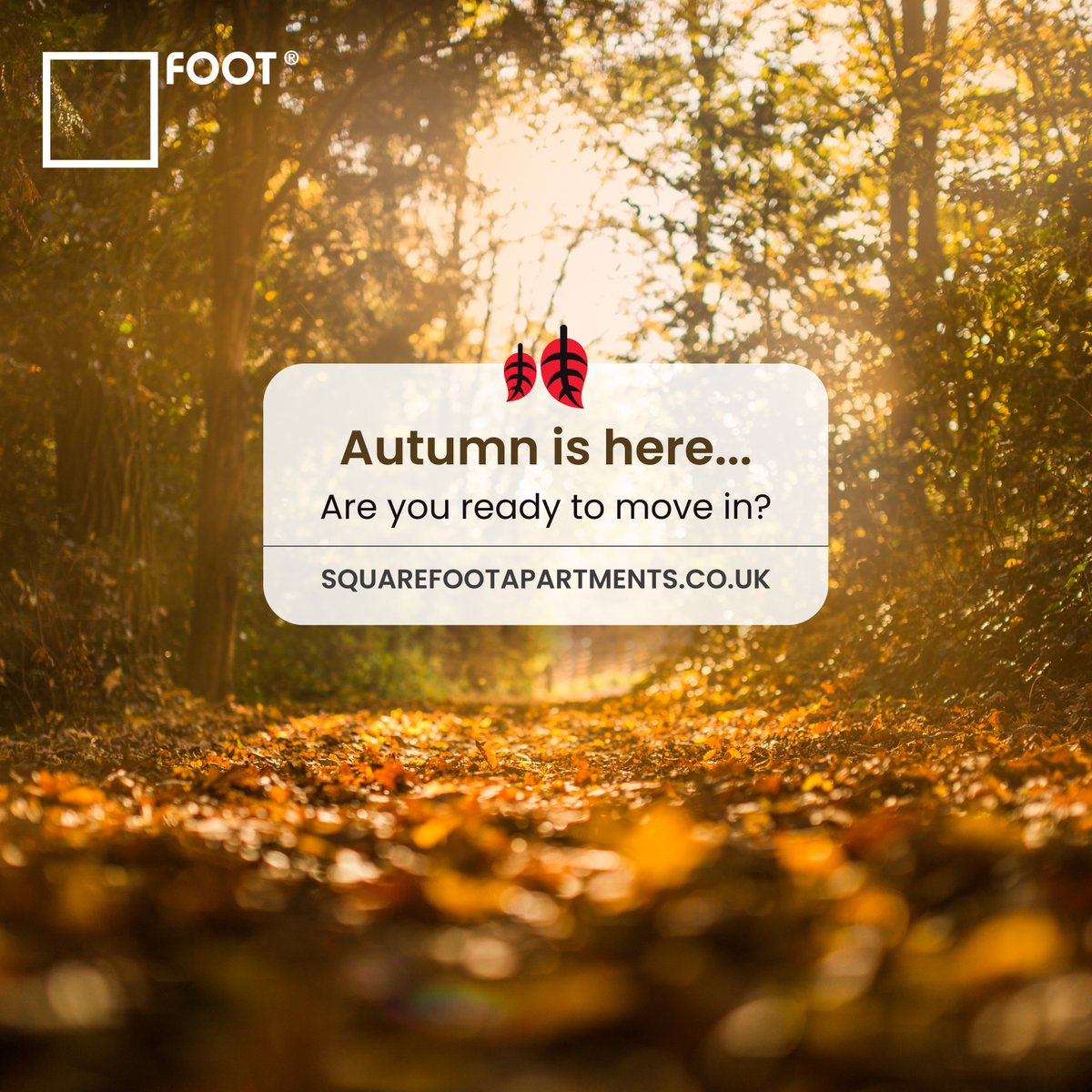 🍂 Autumn in Bradford: The Perfect Season to Move

As the leaves turn golden, it’s the ideal time to find your new home.
- Cooler weather makes moving easier
- New academic + work opportunities
- Bradford’s buzzing cultural calendar

Start fresh this season at Squarefoot.