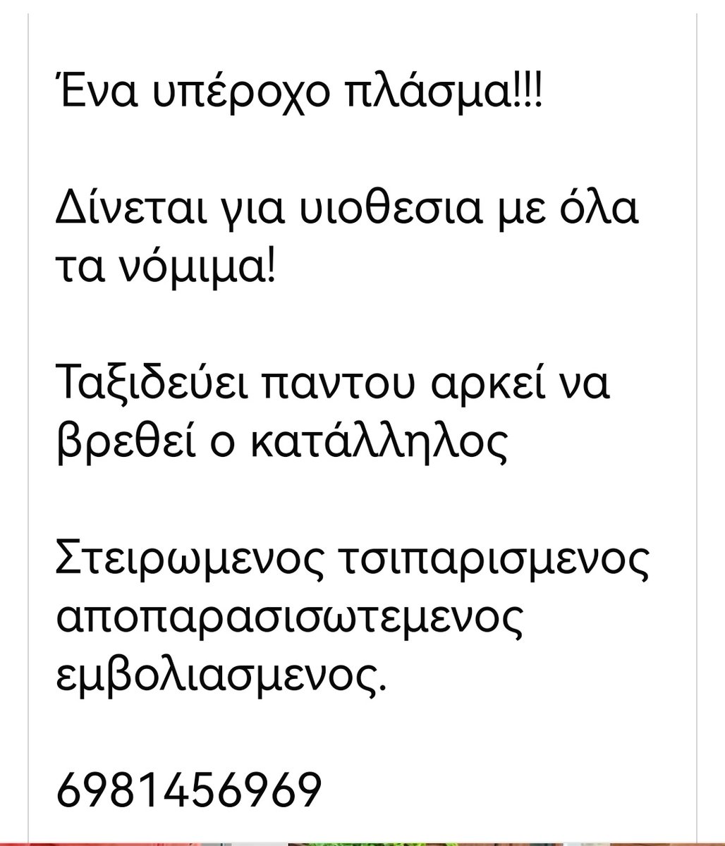 Φλώρινα ‼️🆘‼️🆘‼️Έκκληση για Υιοθεσια κάνουν οι εθελοντές για το πανεμορφο κατάλευκο αυτό αγόρι. Κοινοποιούμε παιδιά μήπως βρεθεί οικογένεια 🏡🐕❤️✌️