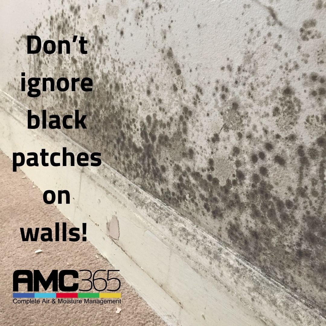 InfoAmc365's tweet image. Mould is more than ugly, it’s dangerous. Protect your home &amp;amp; health with proper ventilation. 👉 amc365.co.uk

#MouldProblems #HealthyHomesNI #BreatheEasy #VentilationSolutions #AMC365