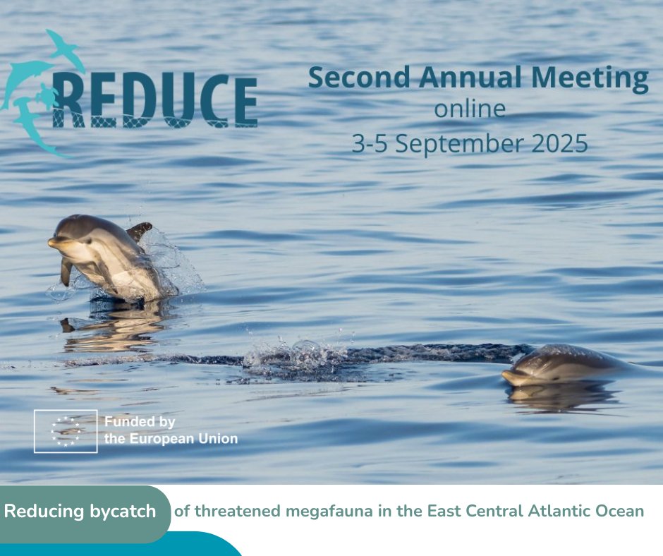 ReduceProject's tweet image. We are just starting the third and last day of our Second Annual Meeting. REDUCE Coordinator has recapped the main points discussed yesterday and now the general assembly is taking place to deal with internal items, future plans and open discussions. #ReductionETPBycatch