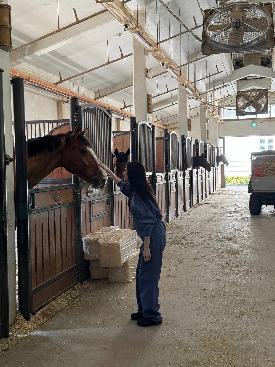 🐎