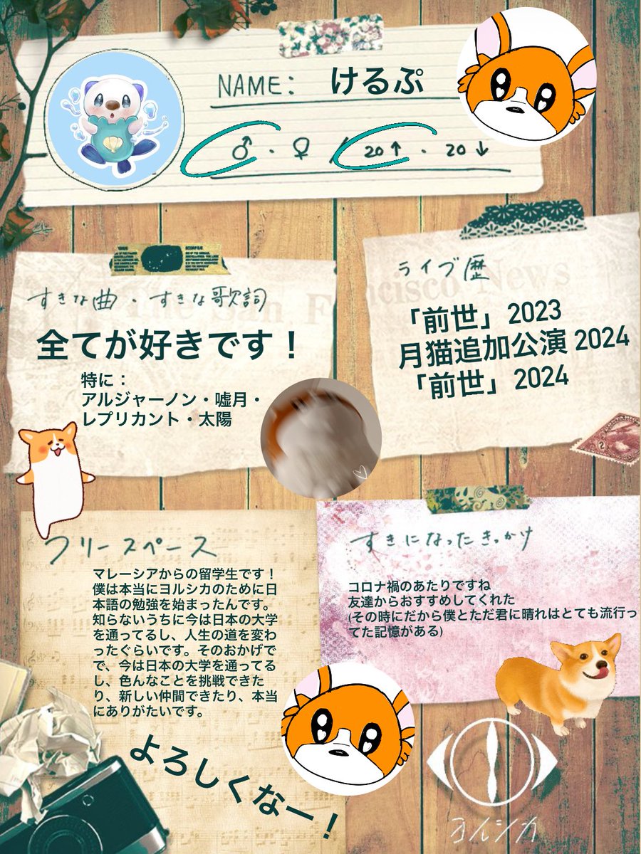 ケルプ◂Ⓘ▸ tweet media