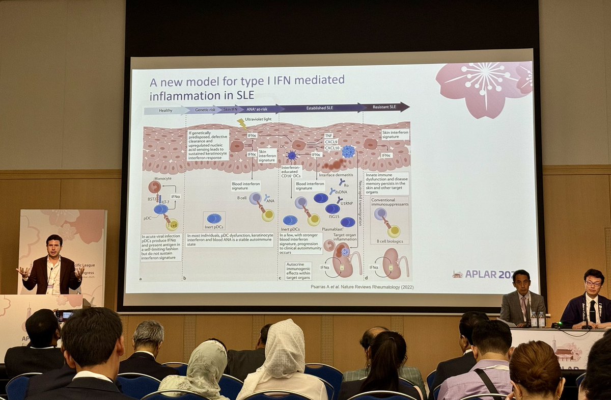daliyapencheva's tweet photo. At #APLAR25, #EMEUNET highlights the central role of Type I interferons in SLE pathogenesis and their potential to guide IFN-targeted therapies across diverse organ systems @AntonyPsarras @EMEUNET https://t.co/cU6QcLpSrM